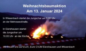 Weihnachtsbäume werden abgeholt