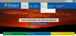 Wahl-Internet-300x145